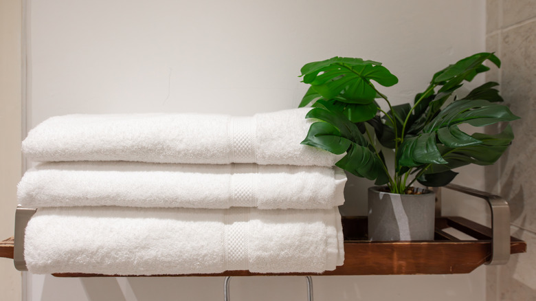 Three white towels on shelf next to a plant.