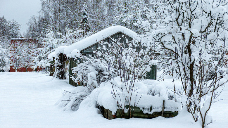A house with a snowy garden in winter