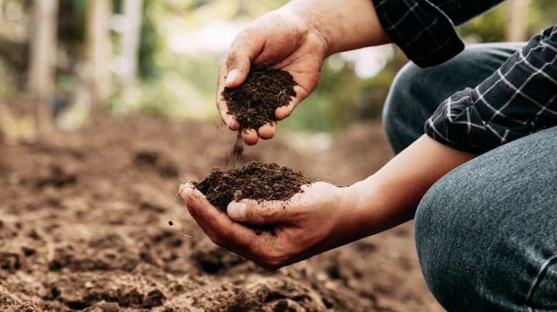A person handling soil