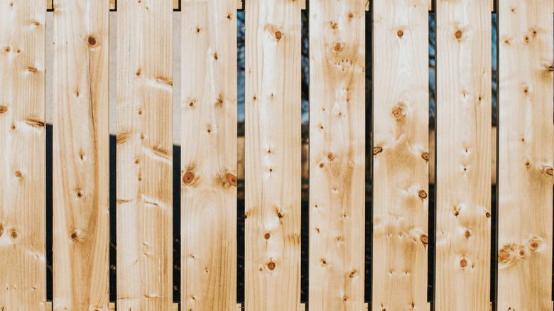 Knots in a wooden fence