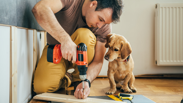 A man doing home DIY accompanied by his pet dog