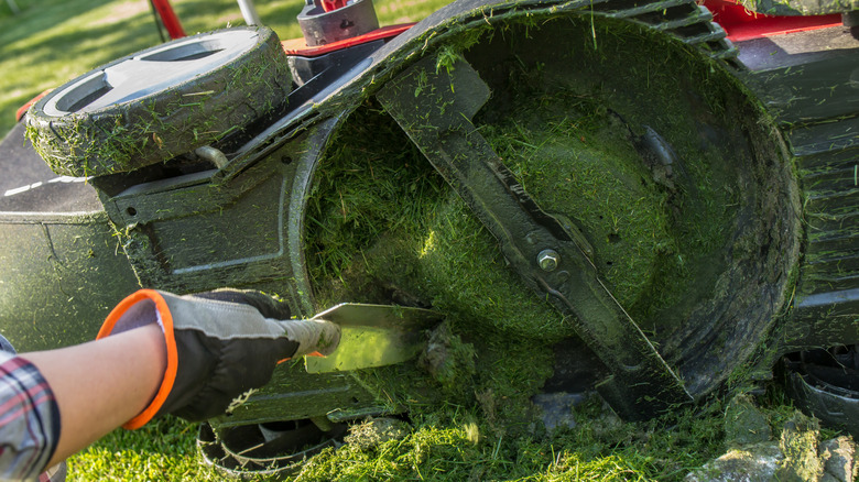 Hand cleaning the mower deck of grass