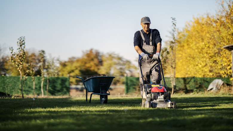 Gardener mowing the lawn