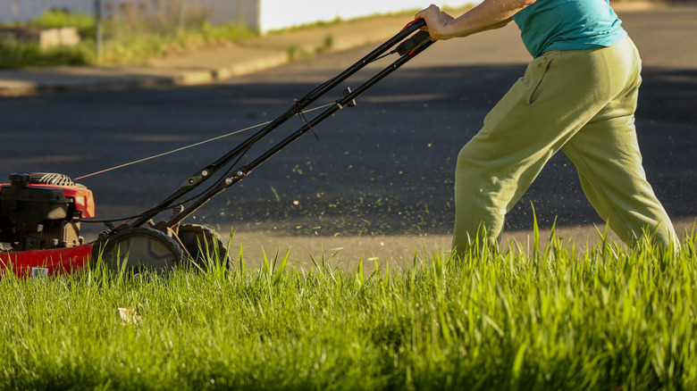 Gardener mowing the lawn in the spring