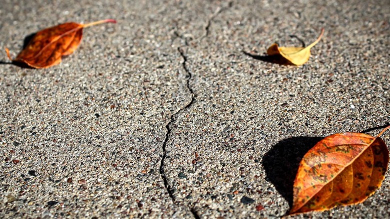 Severely cracked concrete driveway