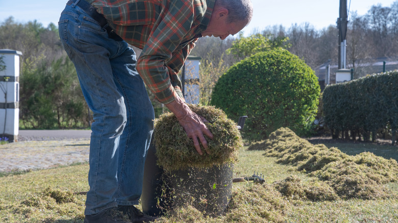 A person cleaning up grass clippings on a lawn