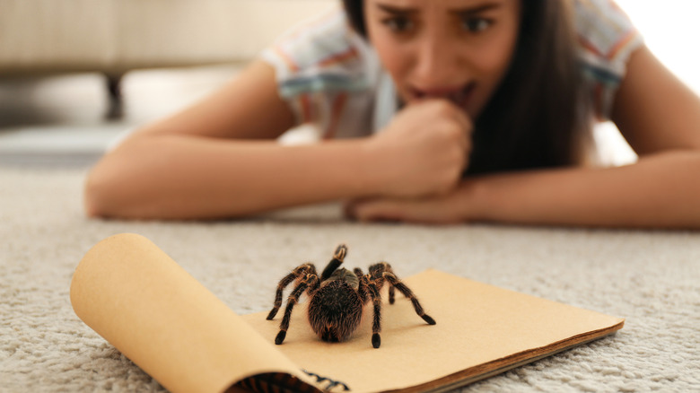 Tarantula on notepad