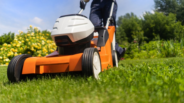 Person mowing lawn