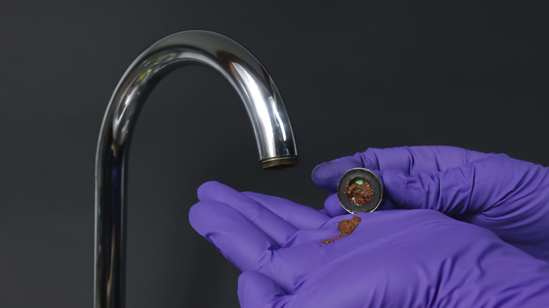 A person cleaning a Faucet Aerator
