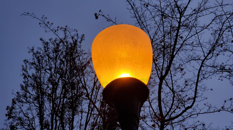 A street lamp with the typical orange glow of a sodium vapor light.