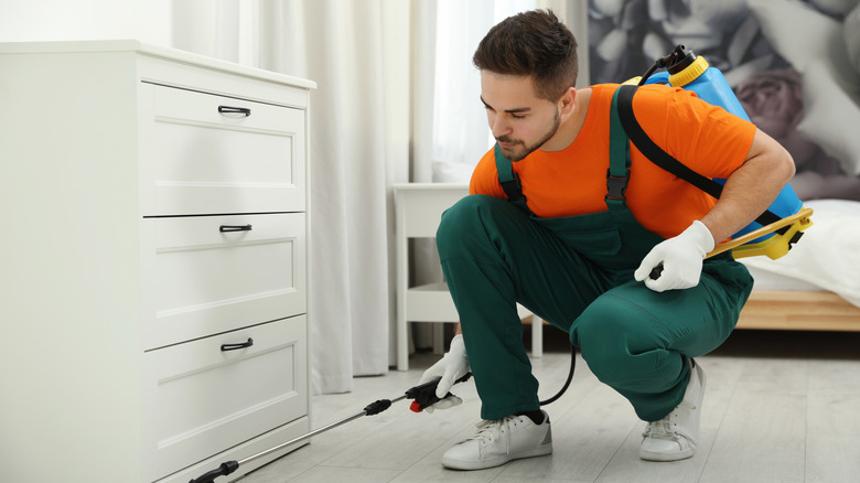A man dressed in an orange t-shirt and green dungarees spraying insecticide underneath a white chest of drawers