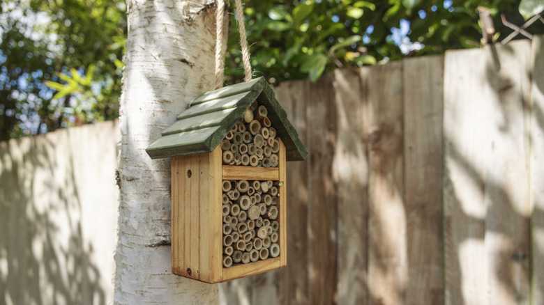 A bug house hangs from tree branch in a shady backyard.