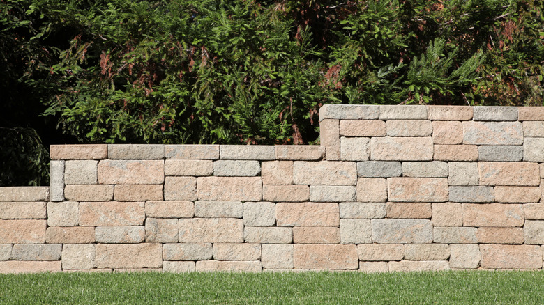 A brick retaining wall in front of trees