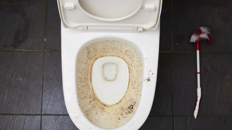 mold and dirt in toilet bowl