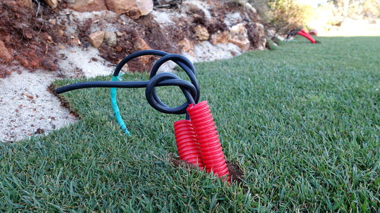 Wires sticking out of the ground near landscaping