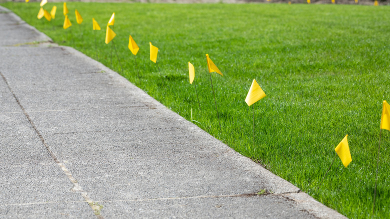little yellow utility flags on lawn