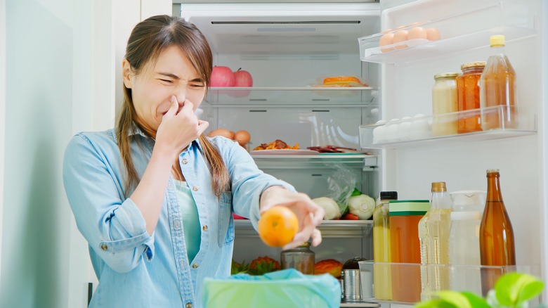 Can Mold Grow in Your Refrigerator? - My Pure Environment