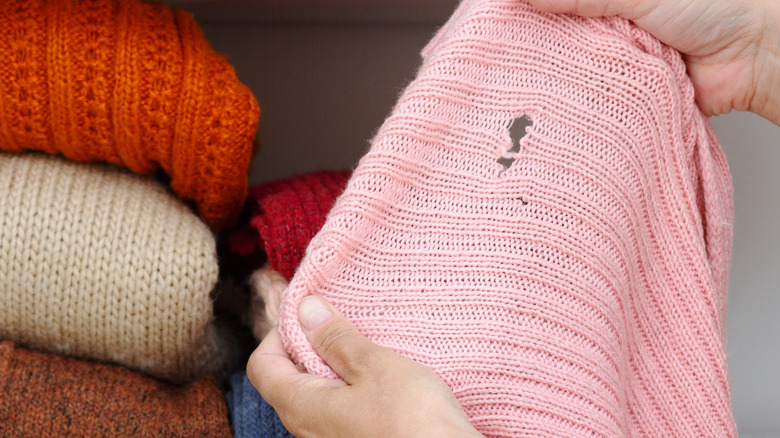 Closeup of hole in sweater made by moths
