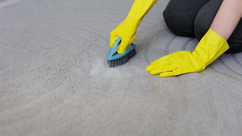 Person cleaning carpet