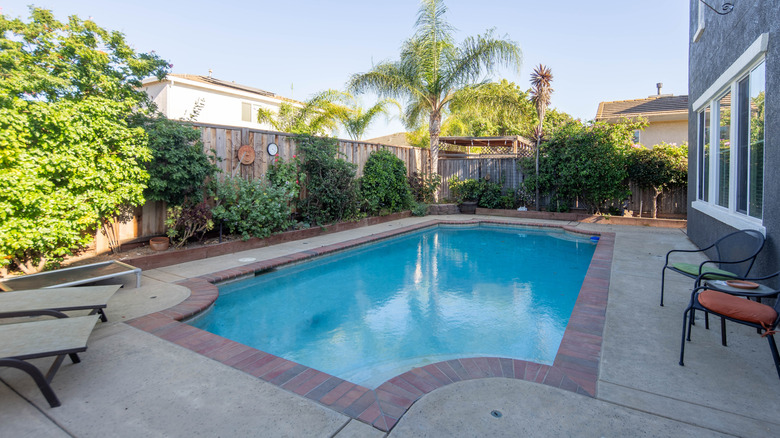 A backyard pool with fence and privacy trees and shrubs.