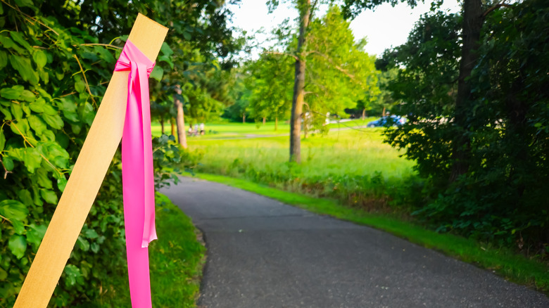 A pink survey flag hanging over a driveway