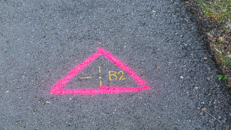 A pink triangle survey marking on concrete