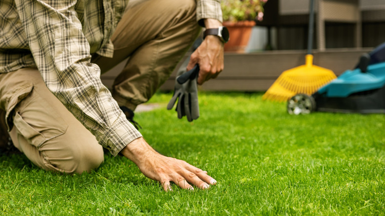 Person kneeling and inspecting their lawn with their hand