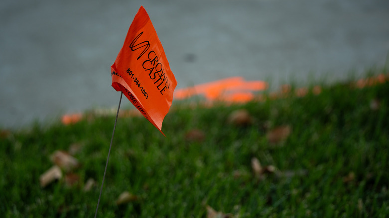 An orange utility flag in grass