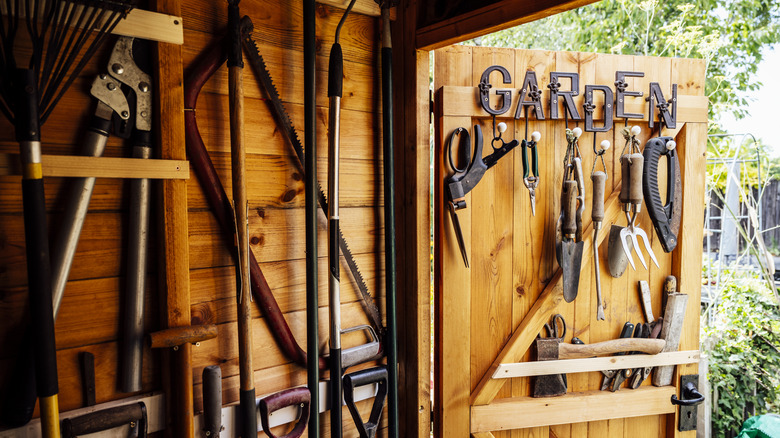 inside view of shed