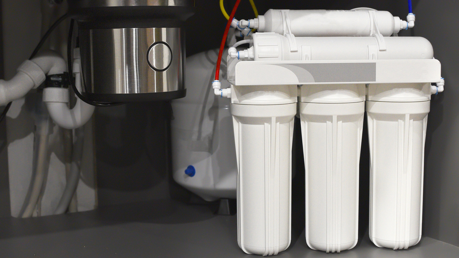 What To Do If You Notice Green Algae Growing In Your Water Filter