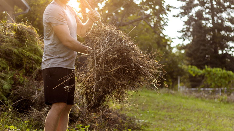 A person clearing brush pile in their yard