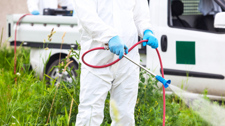 Professional spraying pesticide on grass