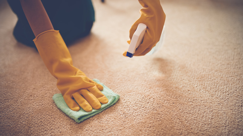 person cleaning carpet