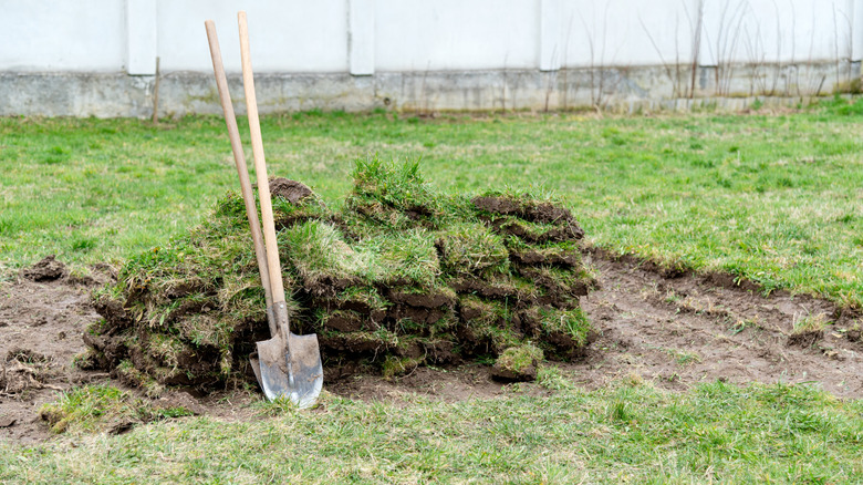 A shovel in front of a stack of new sod