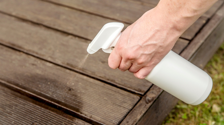 person holding a white spray bottle