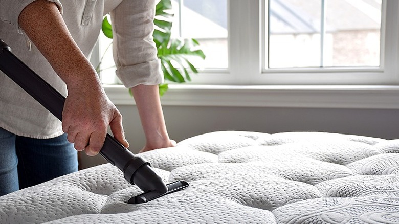 Close-up of a person vacuuming a bed mattress with a window in the background of the room