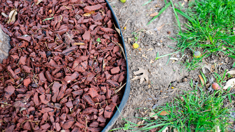 Red recycled rubber mulch nuggets retained inside tight circle ring of black plastic landscape edging roll