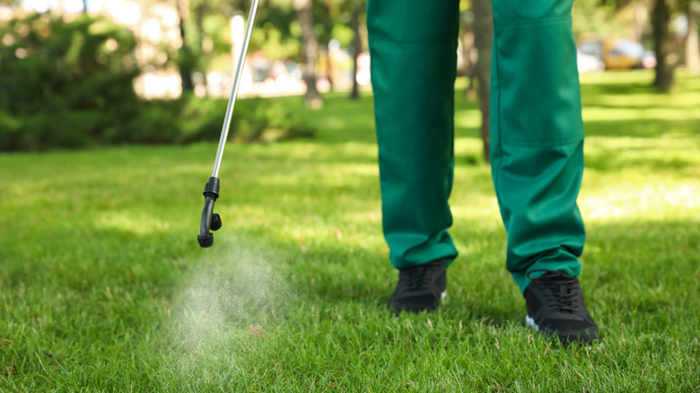 A person spraying a lawn with pesticide.