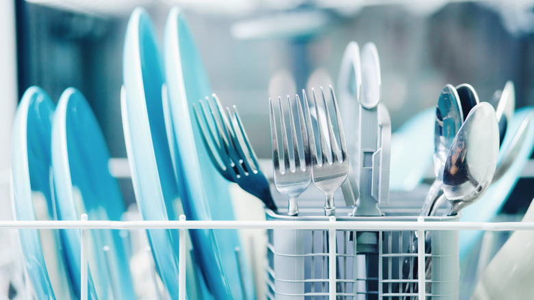 Dishes in the dishwasher