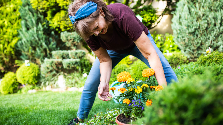 Woman smiling at marigolds
