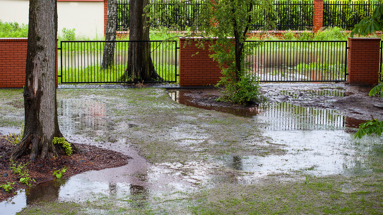 A fenced backyard is full of water