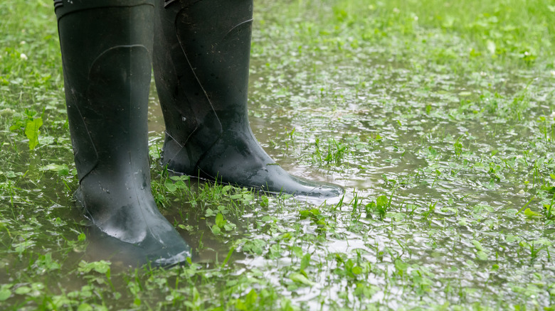 A person wearing rubber boots stands in a severely flooded yard