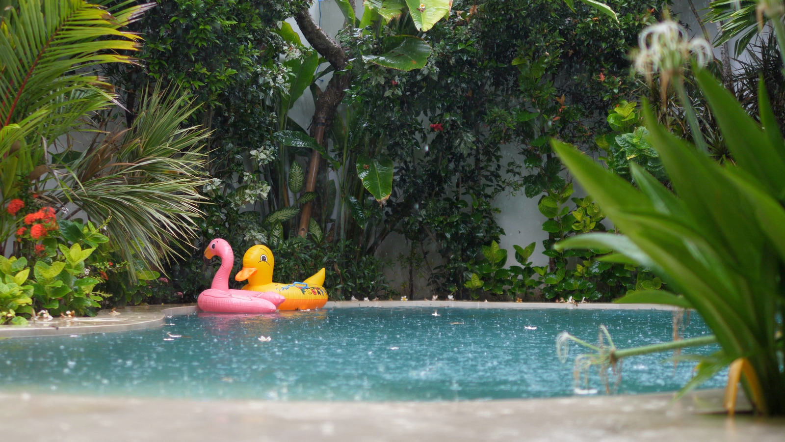 What To Do If Your Pool Starts Overflowing After A Big Storm