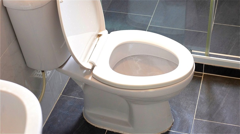 Side close-up of toilet bowl
