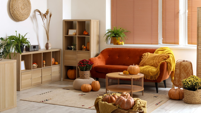 A living room decorated for fall has several plants as accents.