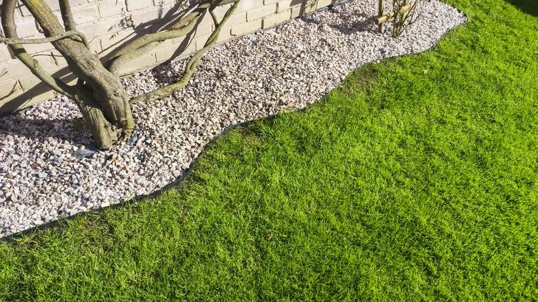 Green grass coming up to a landscaped area with rocks