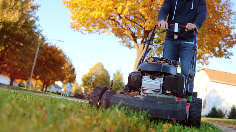 person mowing lawn with fall foliage in the background
