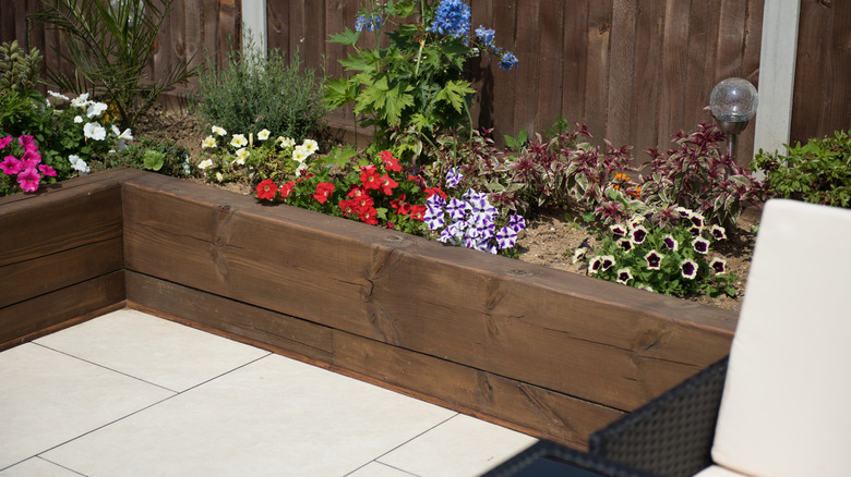 Wooden raised garden bed edging with colorful flowers