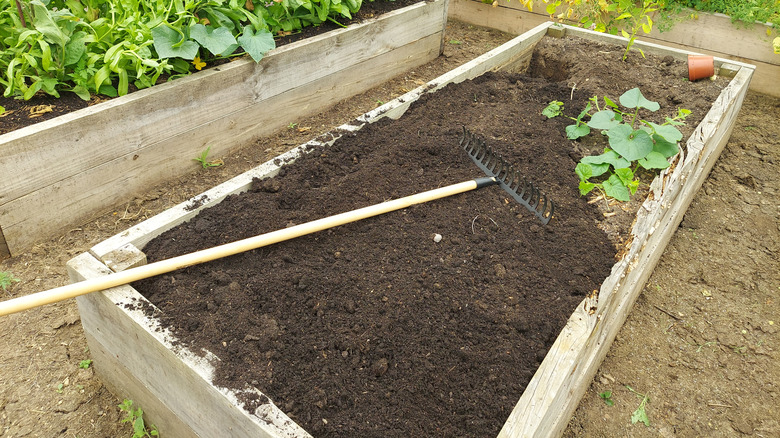 raised garden bed with rake laying across the soil