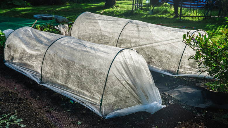 winterizing garden beds with hoops and sheeting